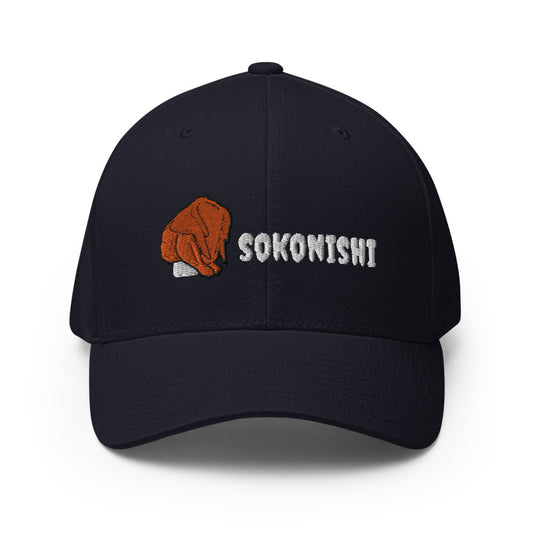 Roast chicken - series1 - SOKONISHI / Structured Twill Cap